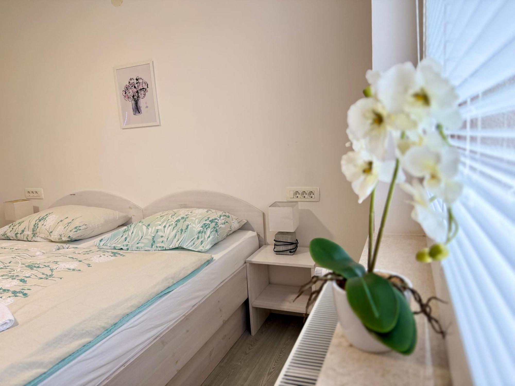 Guest House Kobal Spodnje Gorje 외부 사진