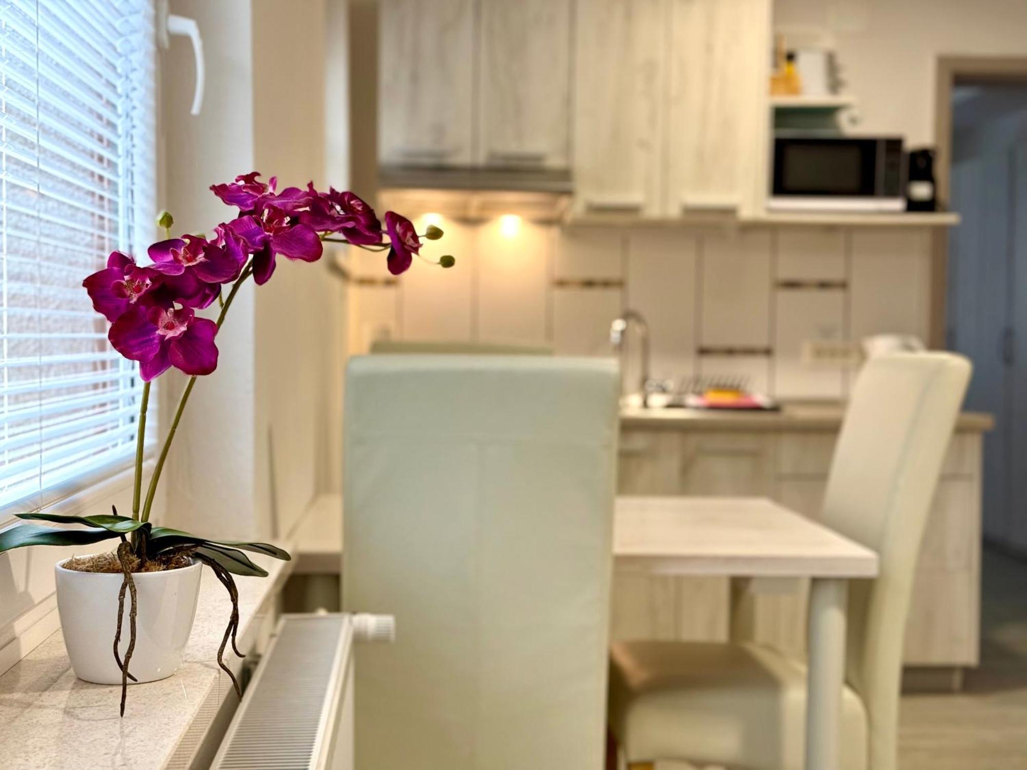 Guest House Kobal Spodnje Gorje 외부 사진